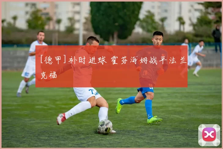 [德甲]补时进球 霍芬海姆战平法兰克福