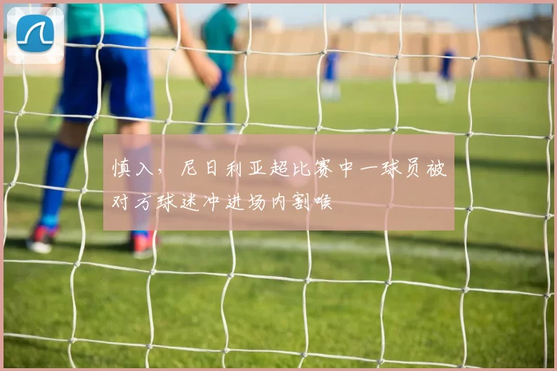 慎入，尼日利亚超比赛中一球员被对方球迷冲进场内割喉