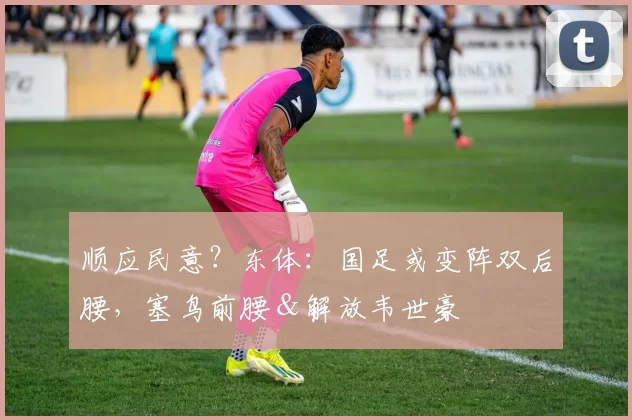 顺应民意？东体：国足或变阵双后腰，塞鸟前腰＆解放韦世豪