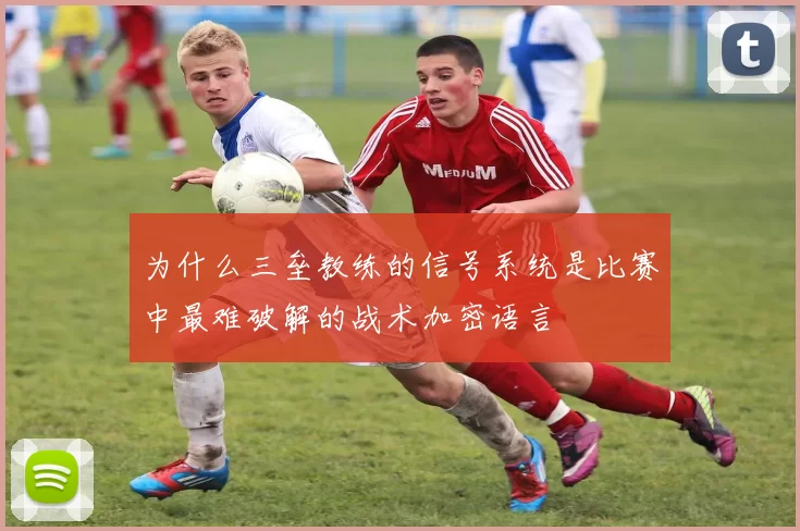 为什么三垒教练的信号系统是比赛中最难破解的战术加密语言