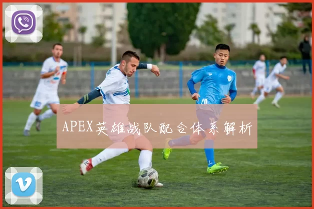 APEX英雄战队配合体系解析