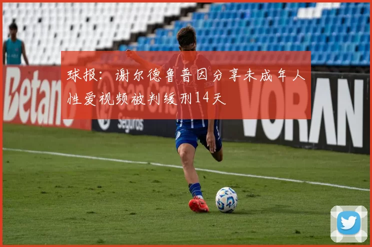 球报：谢尔德鲁普因分享未成年人性爱视频被判缓刑14天