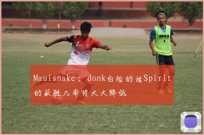 Mauisnake ：donk白给的话Spirit的获胜几率将大大降低