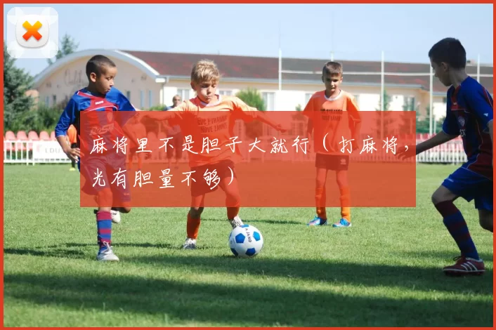 麻将里不是胆子大就行（打麻将，光有胆量不够）