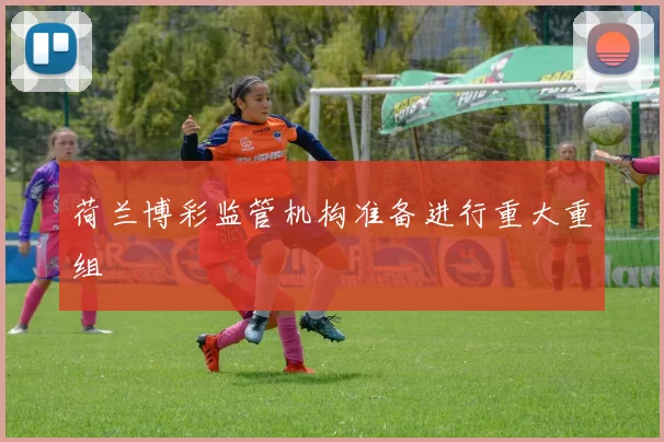 荷兰博彩监管机构准备进行重大重组