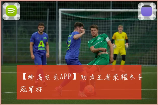 【蜂鸟电竞APP】助力王者荣耀冬季冠军杯