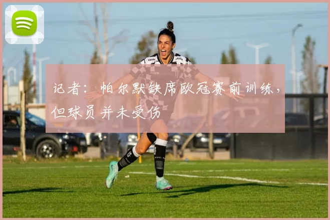 记者：帕尔默缺席欧冠赛前训练，但球员并未受伤