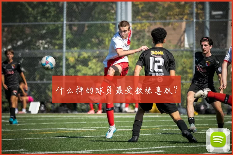 什么样的球员最受教练喜欢？
